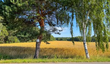 Działka budowlana Rudzienko