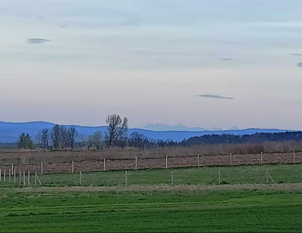 Działka budowlana Rybna, ul. Na Morgi. Zdjęcie 4