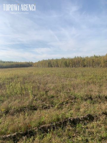 Działka inwestycyjna Pęchery, ul. Bolesława Chrobrego. Zdjęcie 3