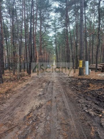 Działka leśna Sękocin-Las. Zdjęcie 5