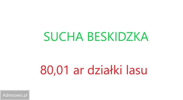 Działka leśna Sucha Beskidzka. Zdjęcie 1