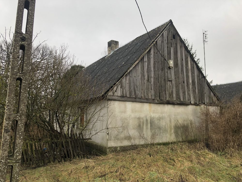 gospodarstwo Żółwin. Zdjęcie 6