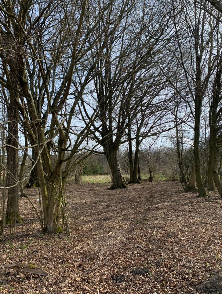 Działka rolna Smolne. Zdjęcie 4