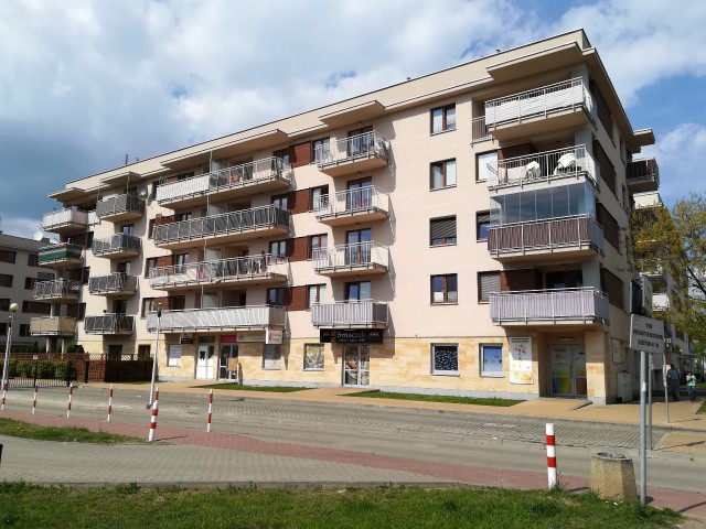 Mieszkanie 2-pokojowe Legionowo Piaski, ul. Zegrzyńska. Zdjęcie 1