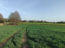 Działka budowlana Dobierzyn. Zdjęcie 1