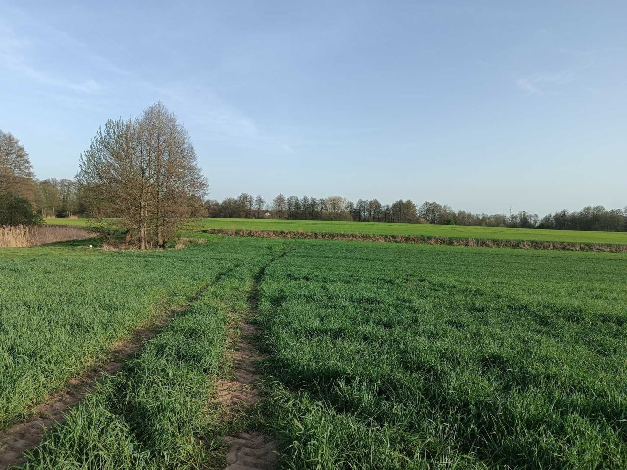 Działka budowlana Dobierzyn. Zdjęcie 2