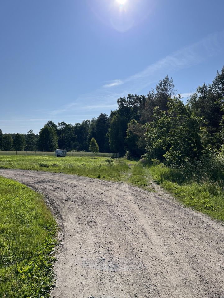 Działka siedliskowa Kury Zapole. Zdjęcie 5