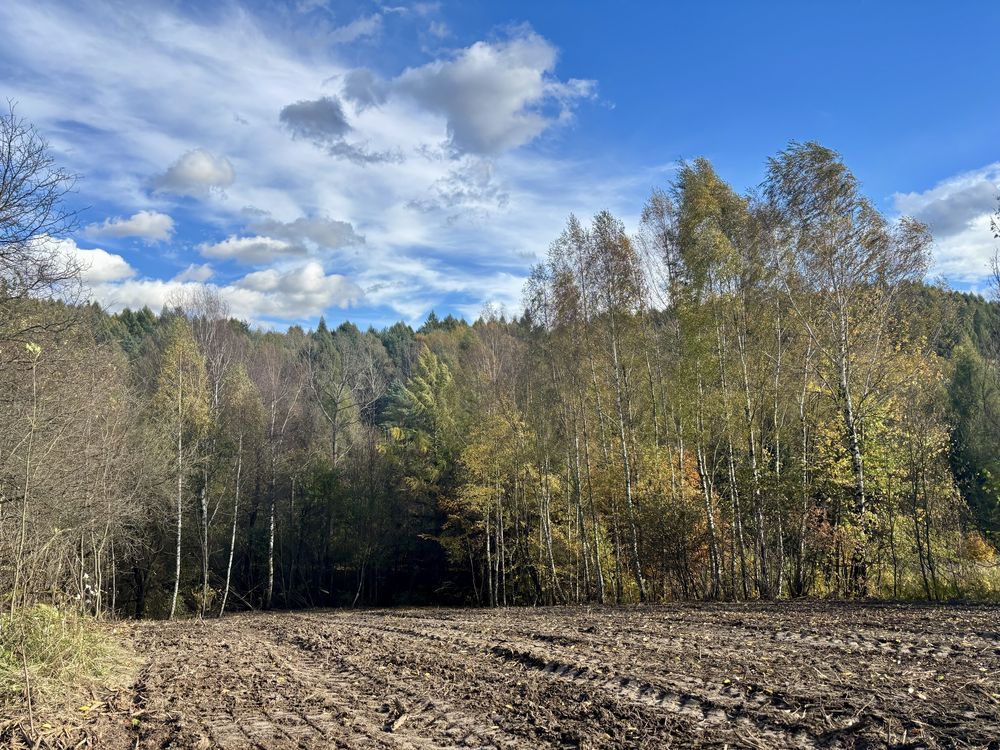 Działka budowlana Ryczówek, ul. Zadolna. Zdjęcie 6