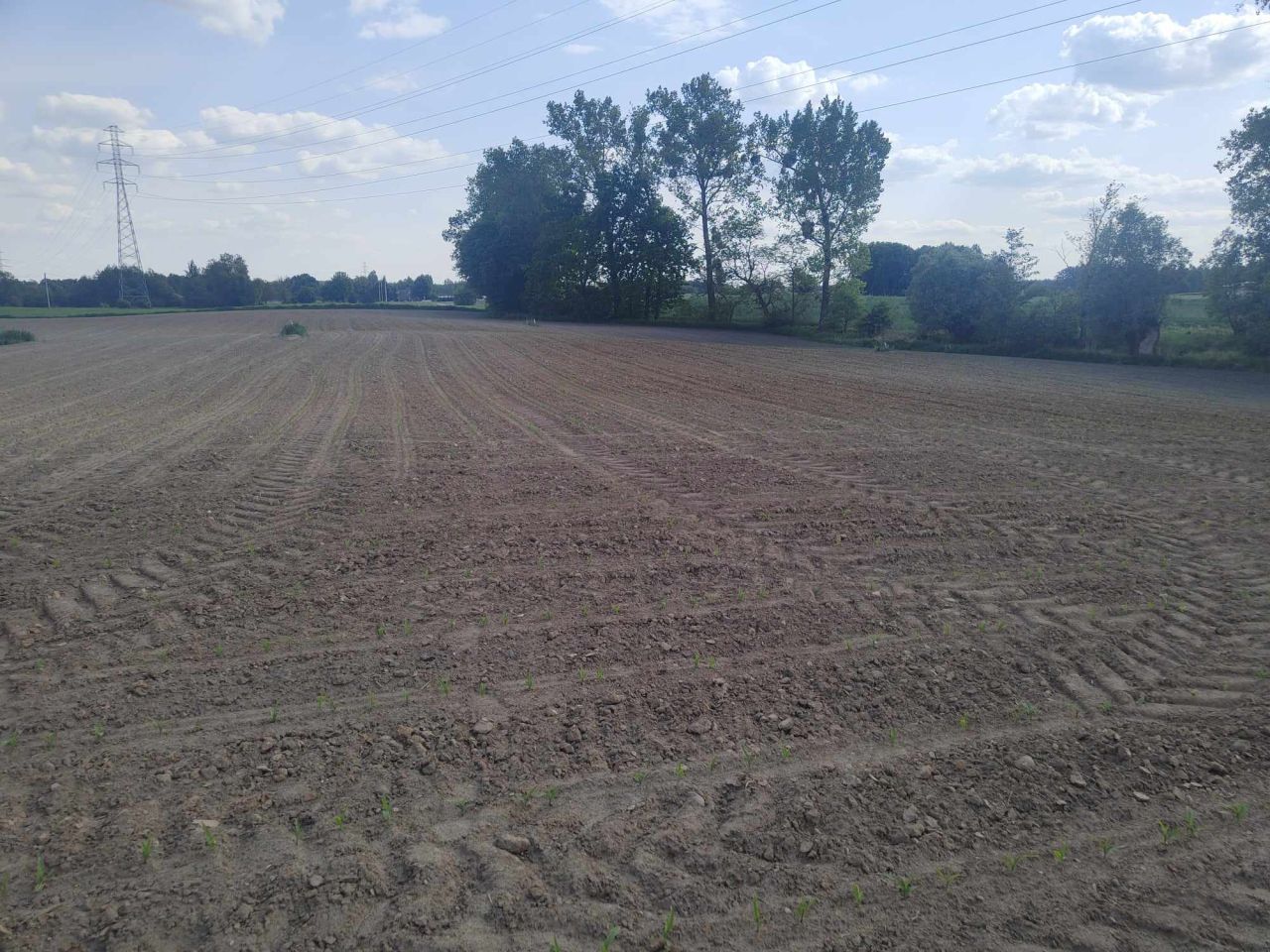 Działka budowlana Wałycz, ul. Żytnia. Zdjęcie 3