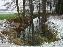 Działka rolno-budowlana Nowe Jastrzębsko. Zdjęcie 4