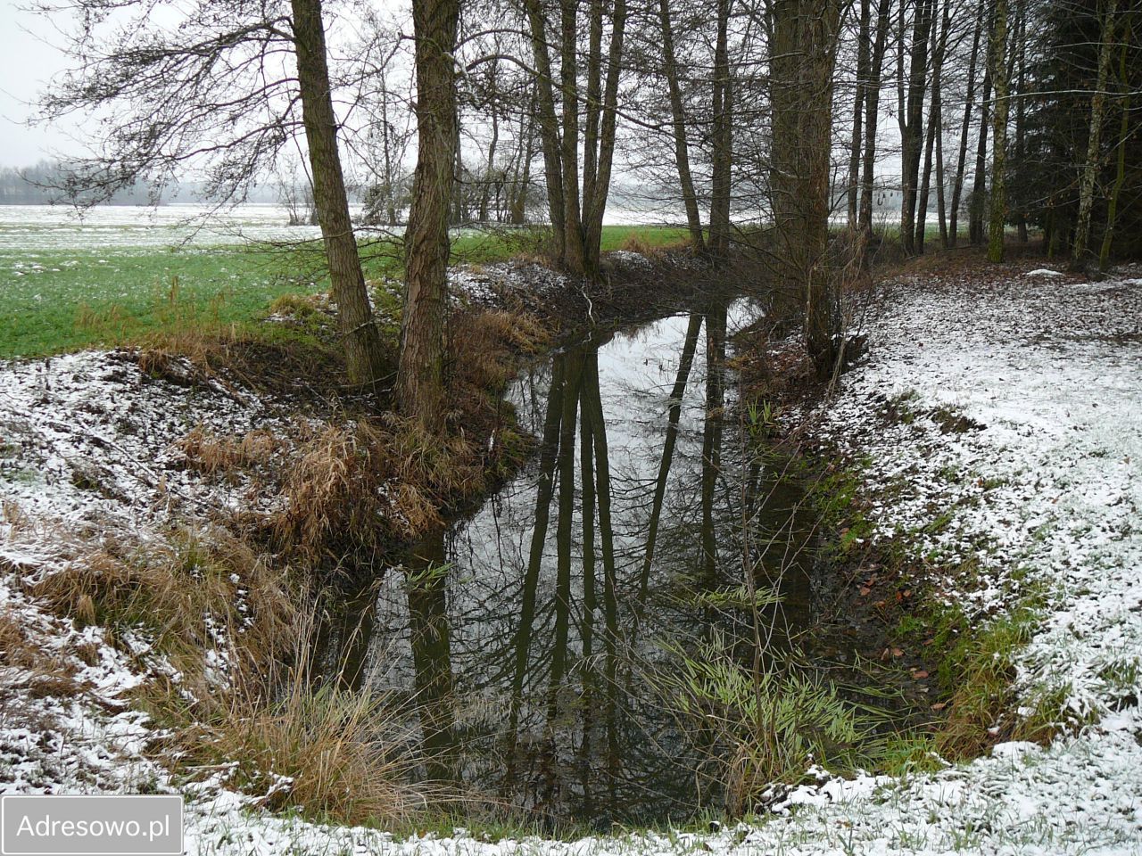 Działka rolno-budowlana Nowe Jastrzębsko. Zdjęcie 5