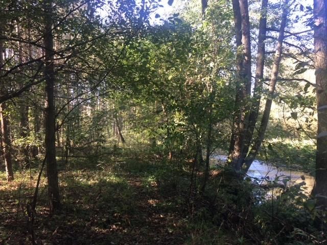 Działka rekreacyjna Trzcianka Zarzecze. Zdjęcie 7