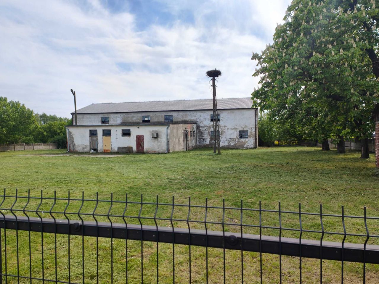 Działka rolna Cieśle Małe. Zdjęcie 4