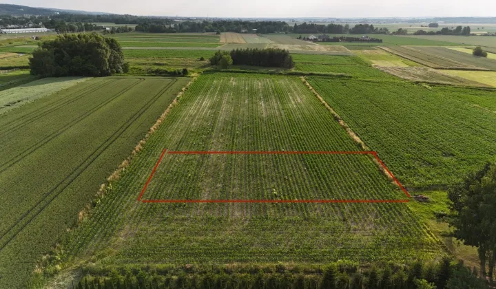 Działka budowlana Lubzina Za Torem, Lubzina