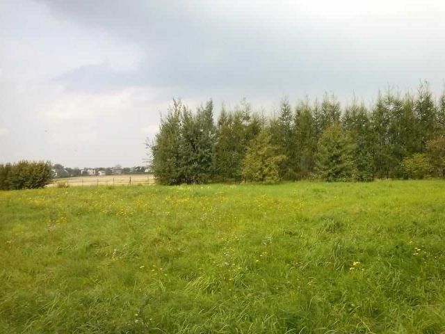 Działka siedliskowa Hecznarowice. Zdjęcie 1