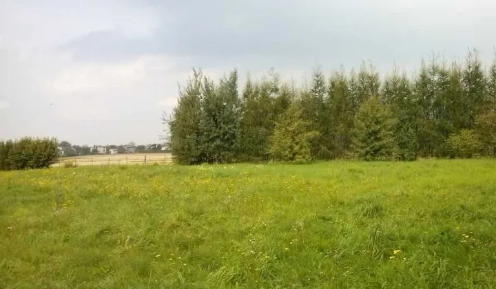 Działka siedliskowa Hecznarowice
