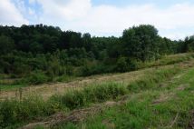 Działka budowlana Domaradz Miasteczko. Zdjęcie 3