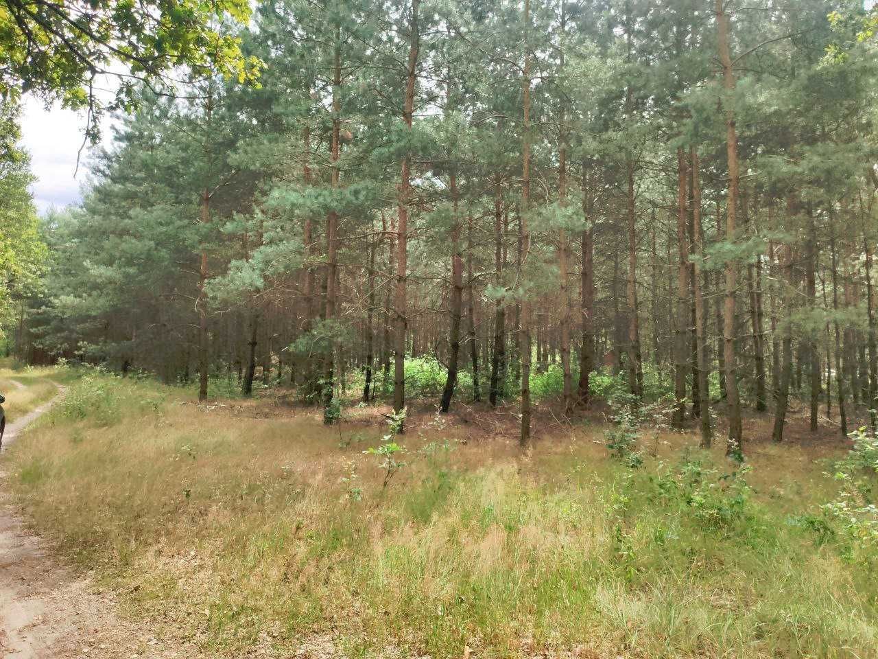 Działka Malanów. Zdjęcie 5