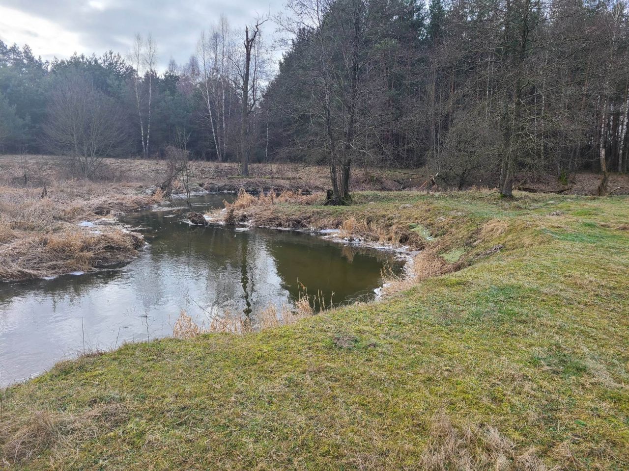 Działka inna Pełch. Zdjęcie 10