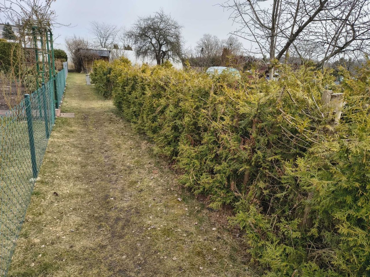 Działka rod Szczecinek, ul. Rybacka. Zdjęcie 6