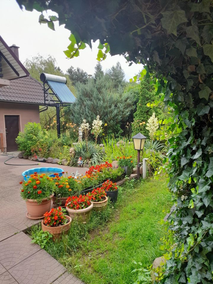 gospodarstwo, 7 pokoi Łazisko Brzezina. Zdjęcie 25