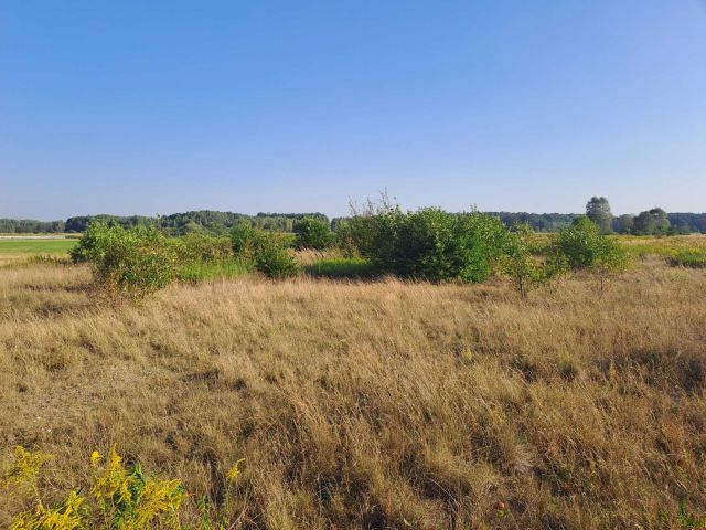 Działka budowlana Tąpkowice. Zdjęcie 1