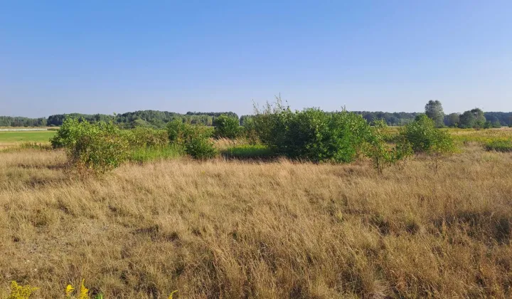 Działka budowlana Tąpkowice