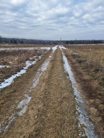 Działka rolna Pierzchno. Zdjęcie 1