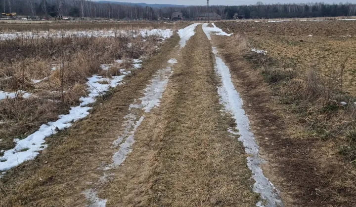 Działka rolna Pierzchno