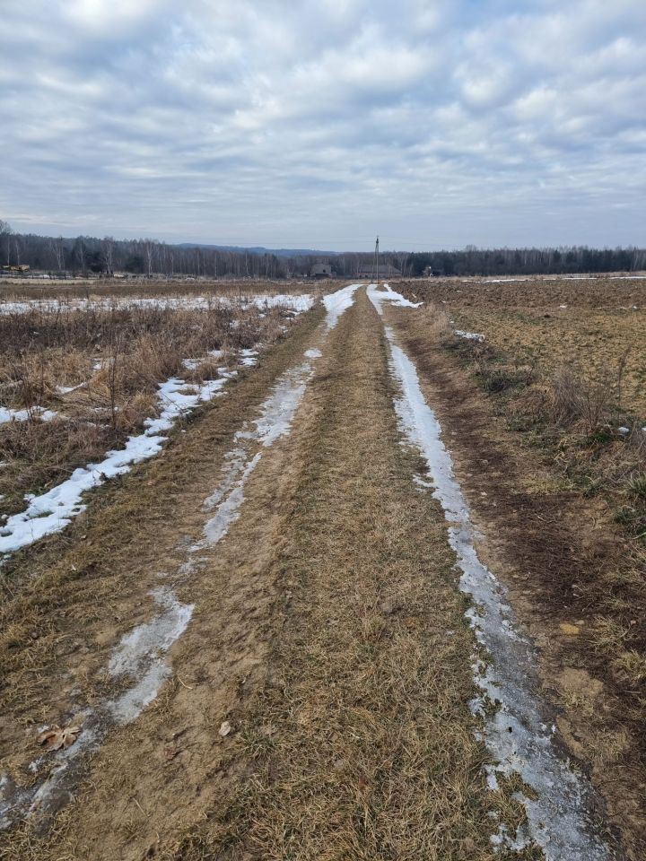 Działka rolna Pierzchno. Zdjęcie 1