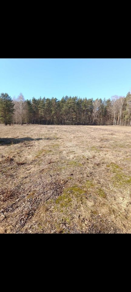 Działka rolno-budowlana Karolina. Zdjęcie 2