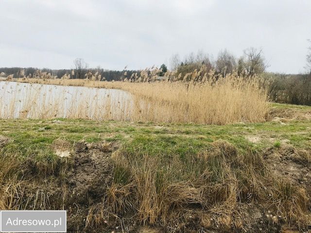 Działka siedliskowa Grzegorzewice. Zdjęcie 7