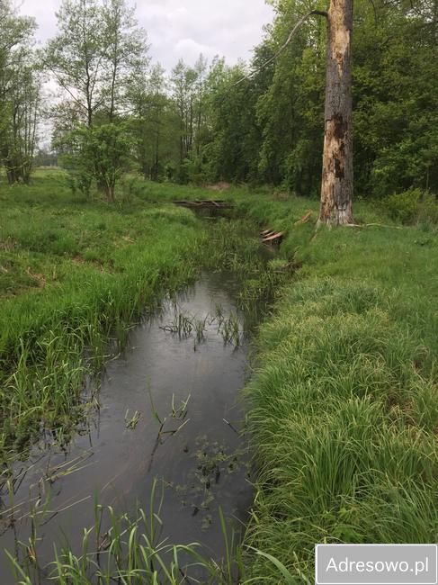 Działka rekreacyjna Zarzetka. Zdjęcie 5
