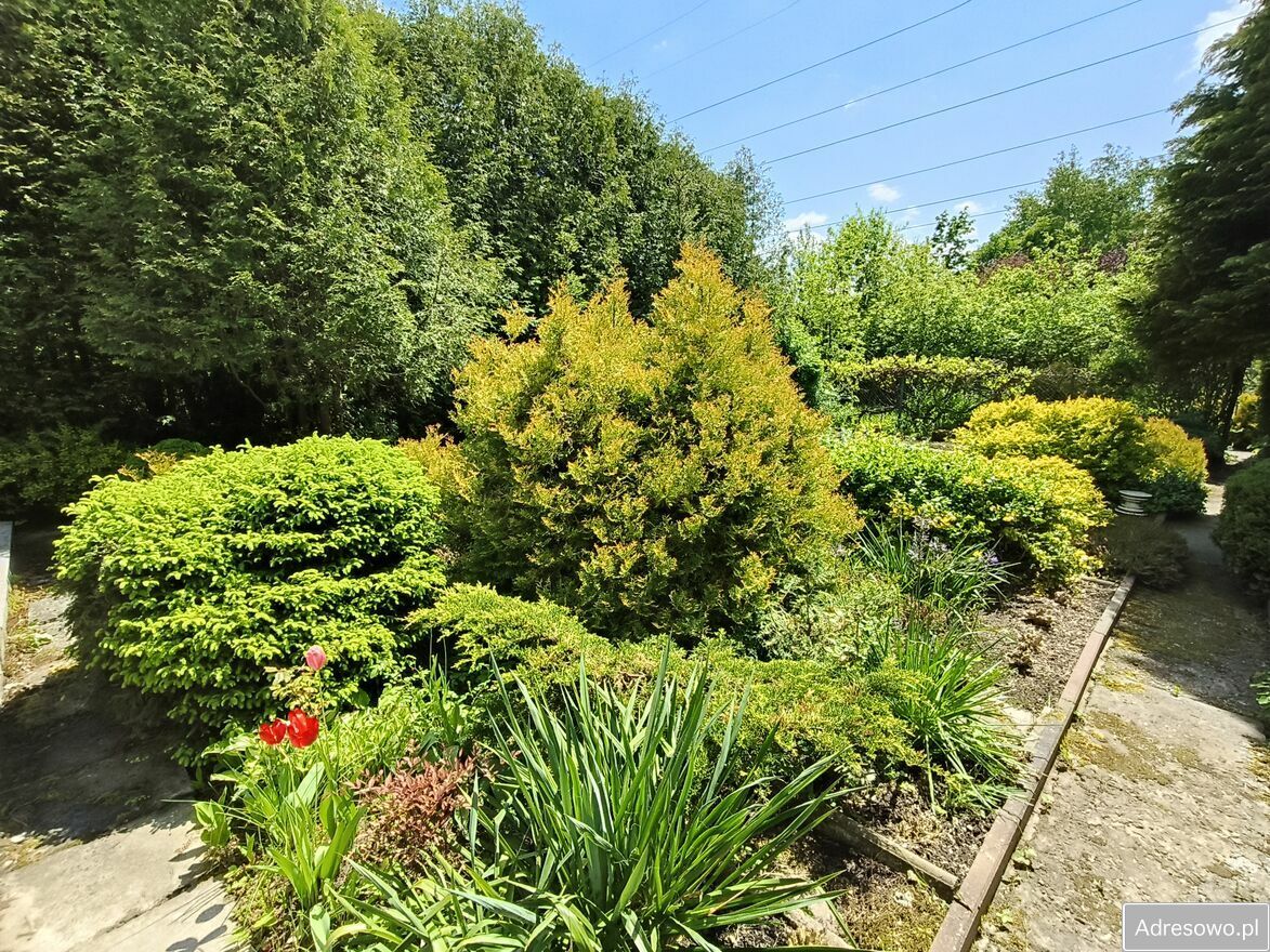 Działka rod Kielce Świętokrzyskie, ul. Wschodnia. Zdjęcie 3