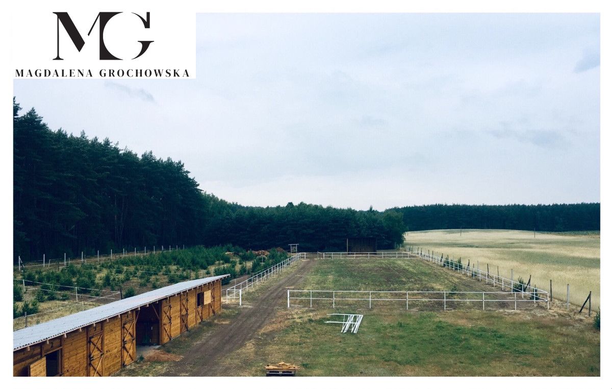 dom wolnostojący, 4 pokoje Zajączkowo. Zdjęcie 7