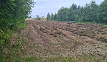 Działka rolna Kocina