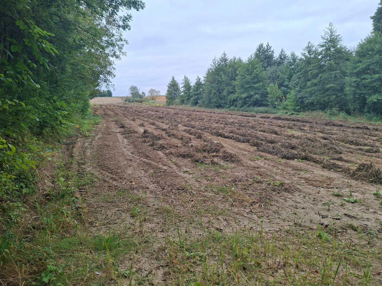 Działka rolna Kocina