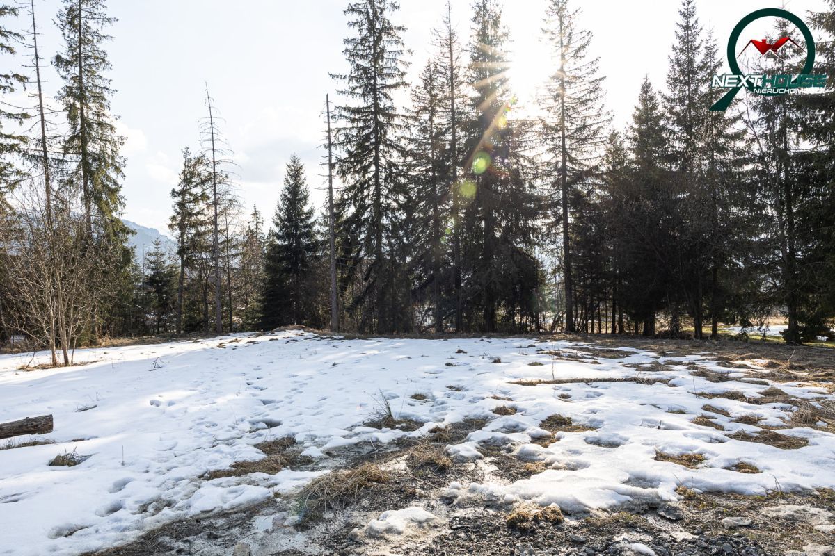 Działka inwestycyjna Kościelisko, ul. Nędzy Kubińca. Zdjęcie 3