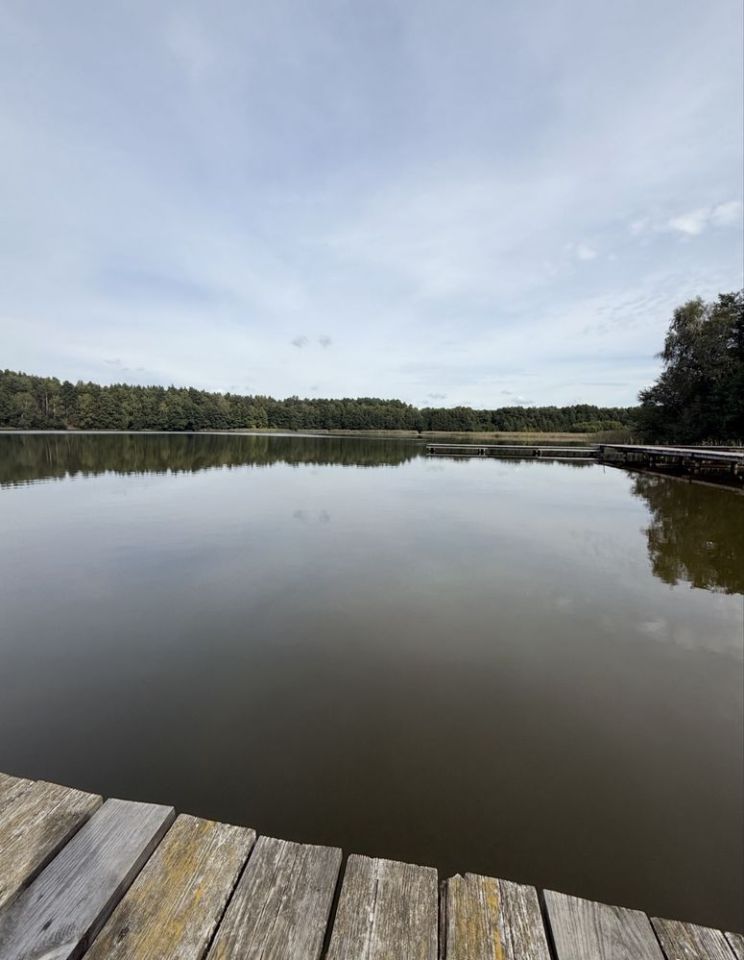 Działka budowlana Śliwice. Zdjęcie 7