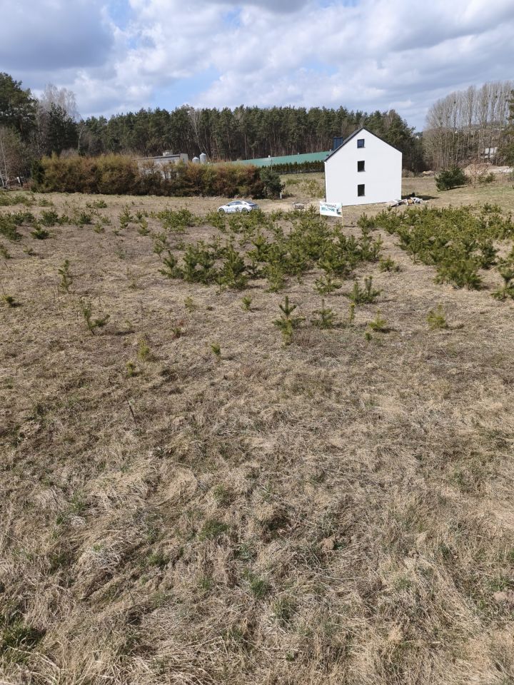 Działka rolno-budowlana Glincz, ul. Sosnowa. Zdjęcie 3