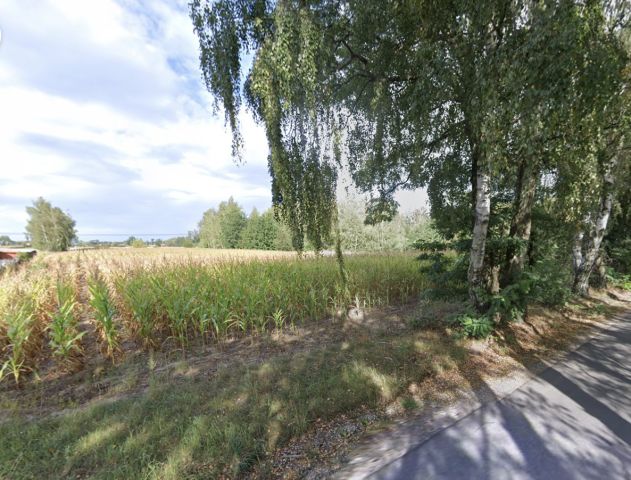 Działka siedliskowa Kaski Kaski Centralne, ul. Piaskowa. Zdjęcie 3