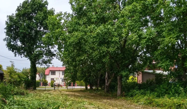 Działka Trablice