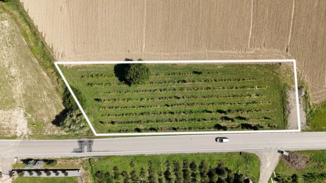 Działka inwestycyjna Mstów. Zdjęcie 3