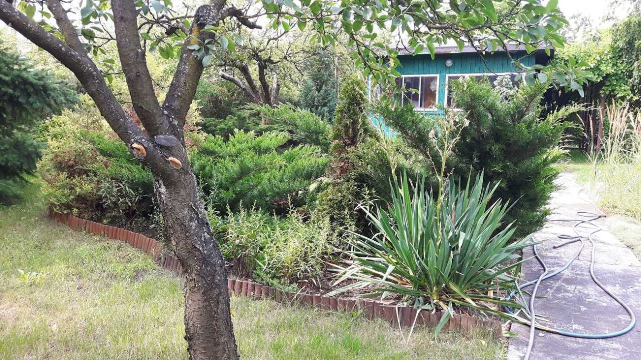 Działka rod Warszawa Targówek, ul. Odrowąża. Zdjęcie 5