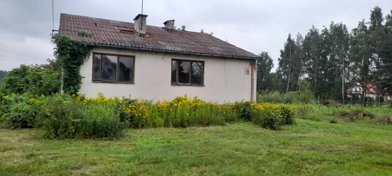 dom wolnostojący, 3 pokoje Bierzewice