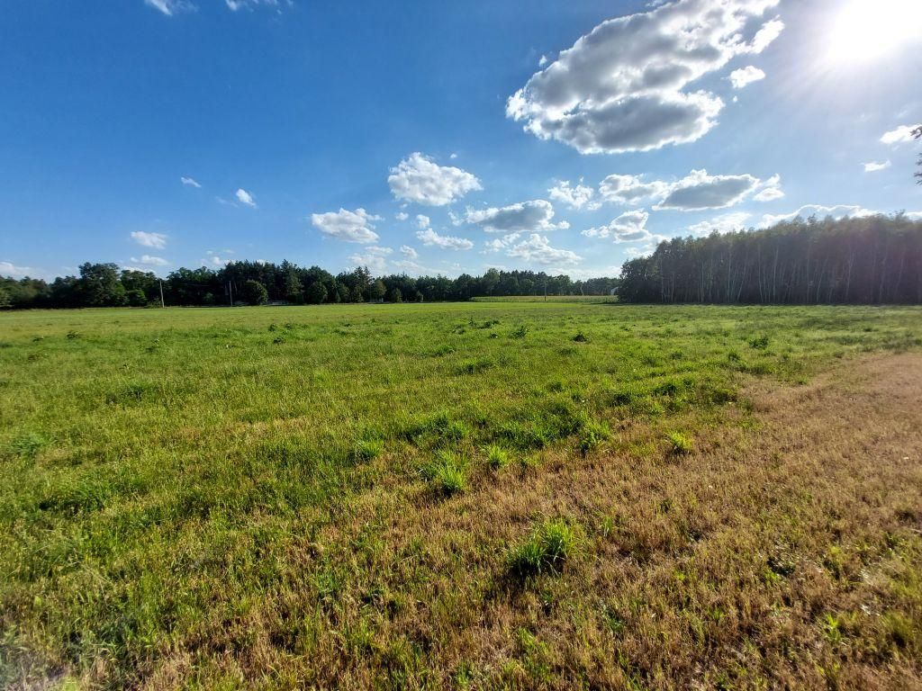 Działka rolno-budowlana Zamęty. Zdjęcie 8