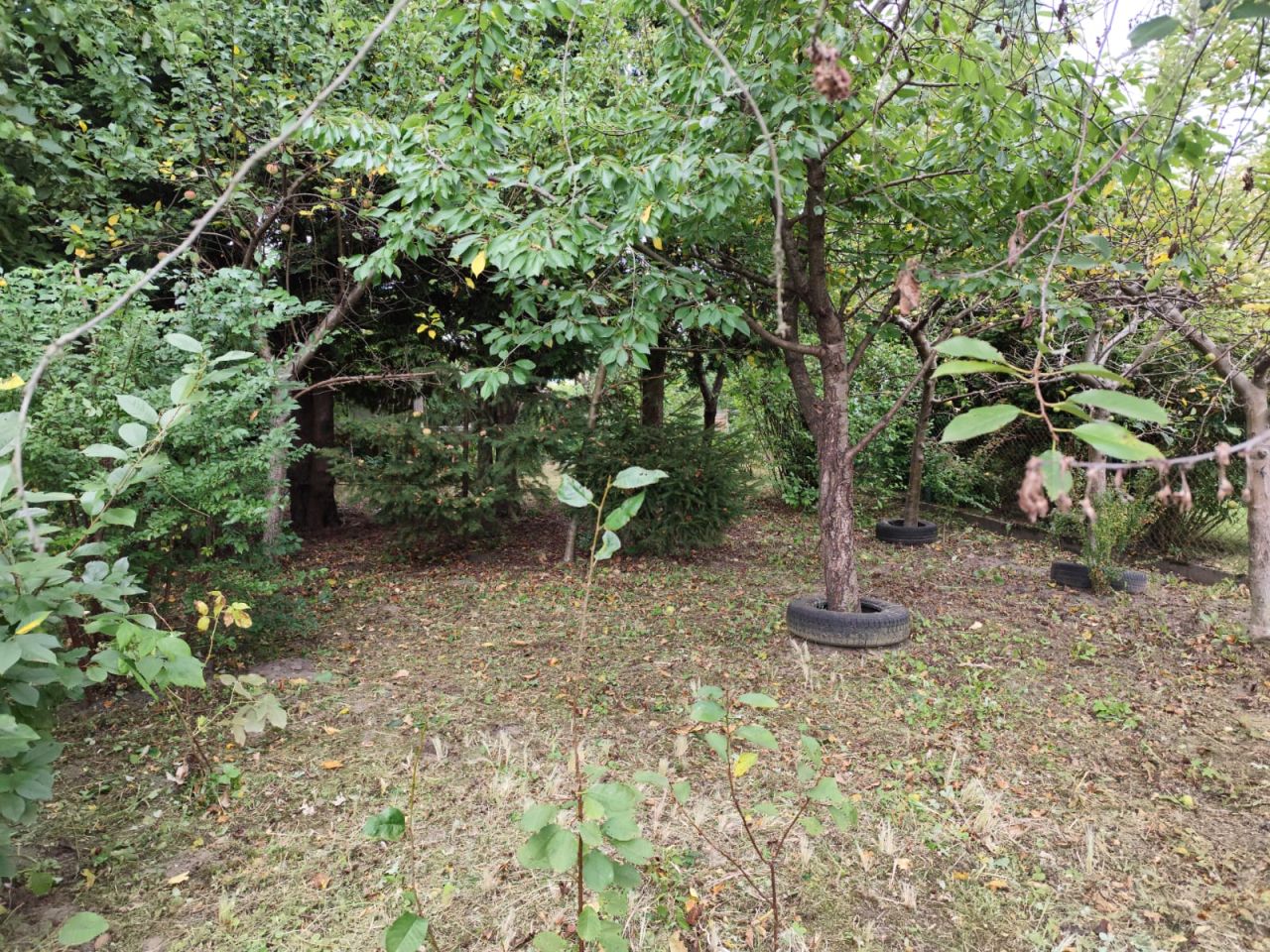 Działka rod Tarnobrzeg Wielopole. Zdjęcie 7