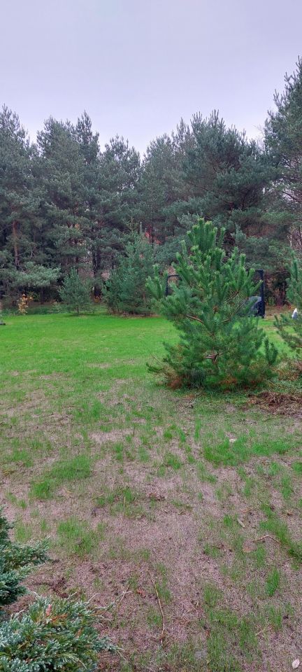 Działka rekreacyjna Morgi, ul. 25. Zdjęcie 5