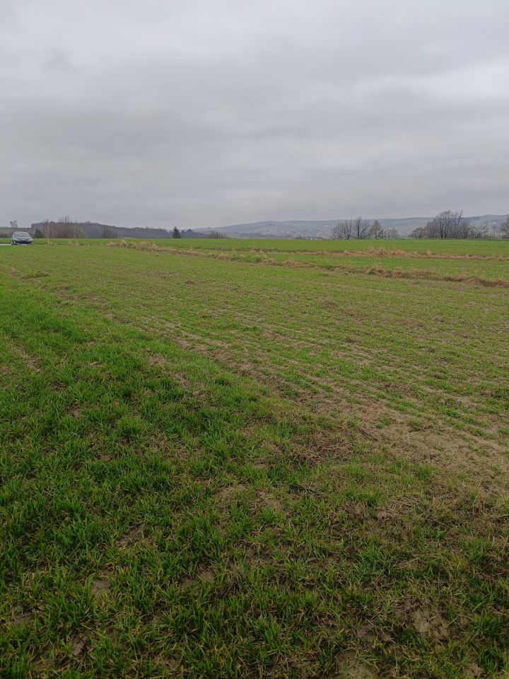 Działka budowlana Glinik Jamszcze. Zdjęcie 9