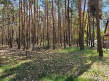 Działka budowlana Siestrzeń. Zdjęcie 2